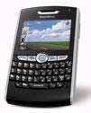 blackberry