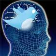 twitterbrain