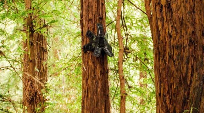 Rainforest Connection: Salvando la selva, con tecnología